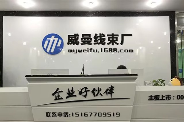 温州市威曼汽车线束有限公司家